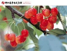 Tablet Screenshot of ngw.co.jp